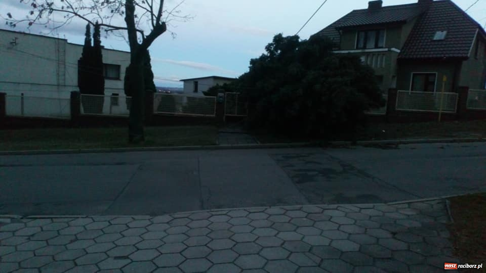 Zdjęcie w galerii na portalu naszraciborz.pl: To był nocny Armagedon. Strażacy mieli pełne ręce roboty. Ponad 60 wezwań FOTO wiadomości z regionu