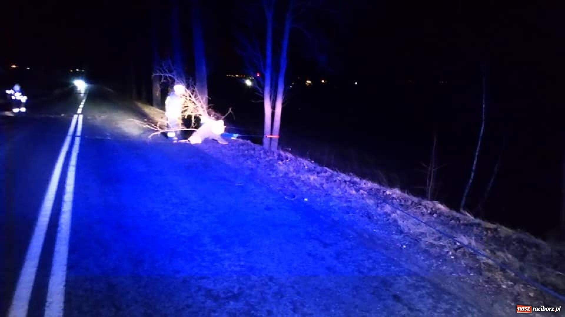 Zdjęcie w galerii na portalu naszraciborz.pl: To był nocny Armagedon. Strażacy mieli pełne ręce roboty. Ponad 60 wezwań FOTO wiadomości z regionu