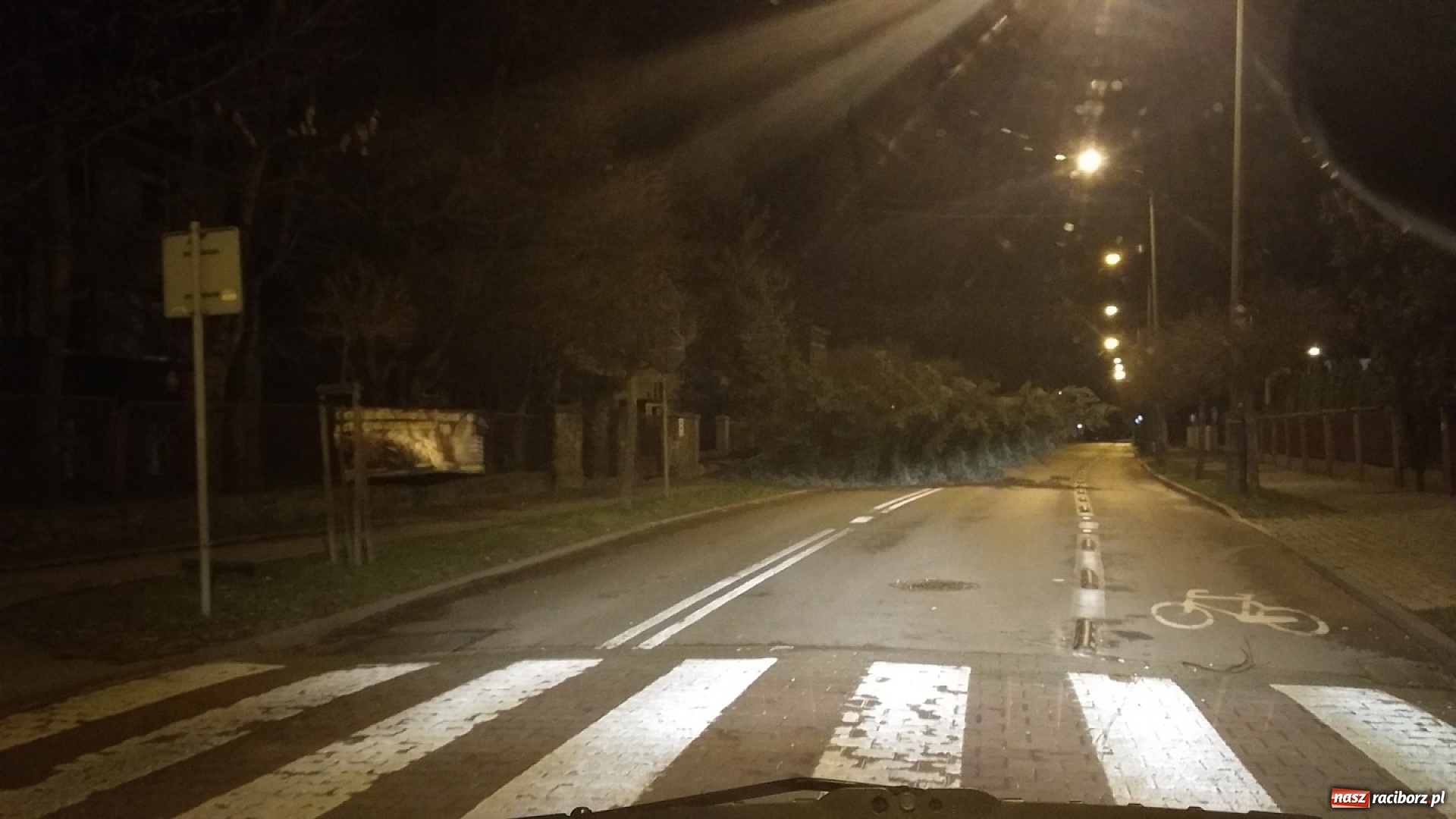 Zdjęcie w galerii na portalu naszraciborz.pl: To był nocny Armagedon. Strażacy mieli pełne ręce roboty. Ponad 60 wezwań FOTO wiadomości z regionu