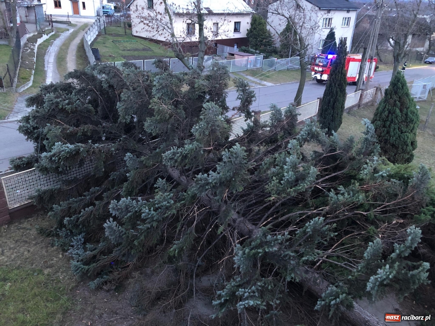 Zdjęcie w galerii na portalu naszraciborz.pl: To był nocny Armagedon. Strażacy mieli pełne ręce roboty. Ponad 60 wezwań FOTO wiadomości z regionu
