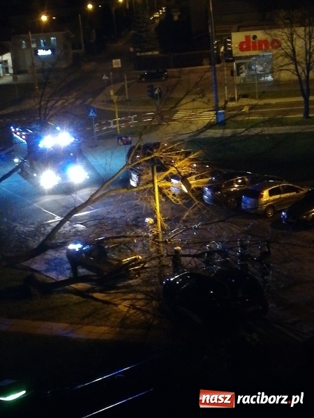 Zdjęcie w galerii na portalu naszraciborz.pl: To był nocny Armagedon. Strażacy mieli pełne ręce roboty. Ponad 60 wezwań FOTO wiadomości z regionu