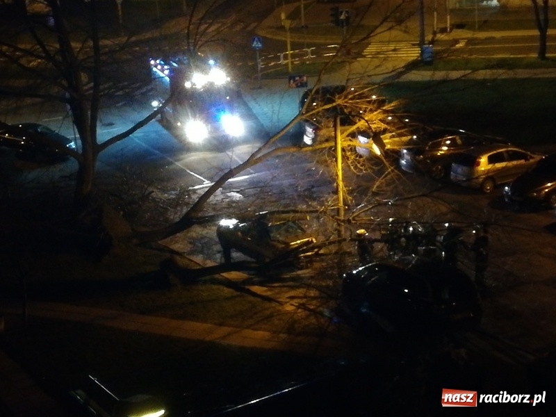 Zdjęcie w galerii na portalu naszraciborz.pl: To był nocny Armagedon. Strażacy mieli pełne ręce roboty. Ponad 60 wezwań FOTO wiadomości z regionu