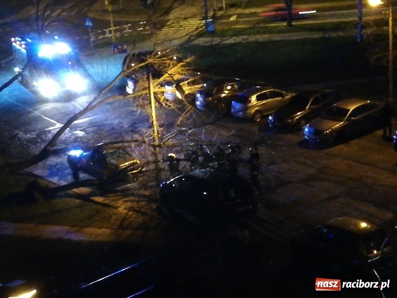 Zdjęcie w galerii na portalu naszraciborz.pl: To był nocny Armagedon. Strażacy mieli pełne ręce roboty. Ponad 60 wezwań FOTO wiadomości z regionu