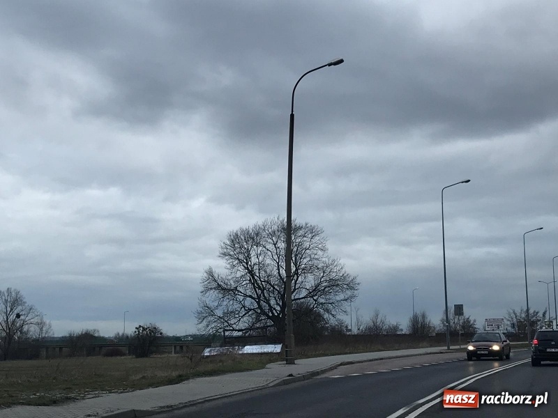 Zdjęcie w galerii na portalu naszraciborz.pl: To był nocny Armagedon. Strażacy mieli pełne ręce roboty. Ponad 60 wezwań FOTO wiadomości z regionu