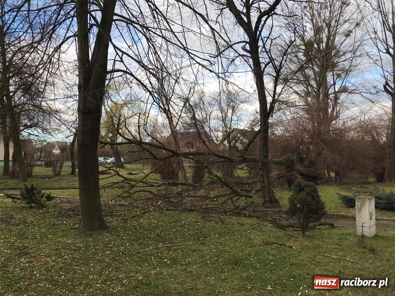 Zdjęcie w galerii na portalu naszraciborz.pl: To był nocny Armagedon. Strażacy mieli pełne ręce roboty. Ponad 60 wezwań FOTO wiadomości z regionu