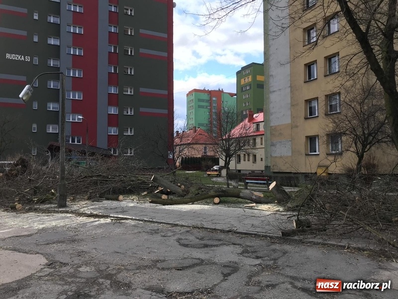 Zdjęcie w galerii na portalu naszraciborz.pl: To był nocny Armagedon. Strażacy mieli pełne ręce roboty. Ponad 60 wezwań FOTO wiadomości z regionu