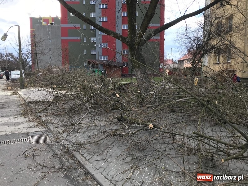 Zdjęcie w galerii na portalu naszraciborz.pl: To był nocny Armagedon. Strażacy mieli pełne ręce roboty. Ponad 60 wezwań FOTO wiadomości z regionu