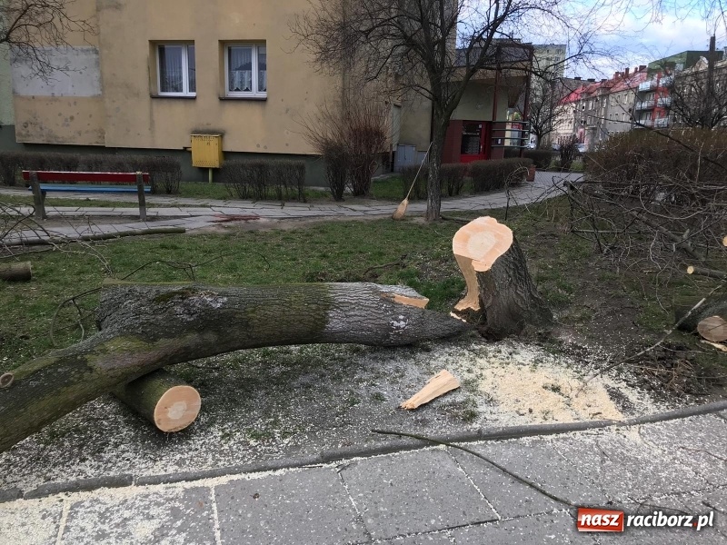 Zdjęcie w galerii na portalu naszraciborz.pl: To był nocny Armagedon. Strażacy mieli pełne ręce roboty. Ponad 60 wezwań FOTO wiadomości z regionu