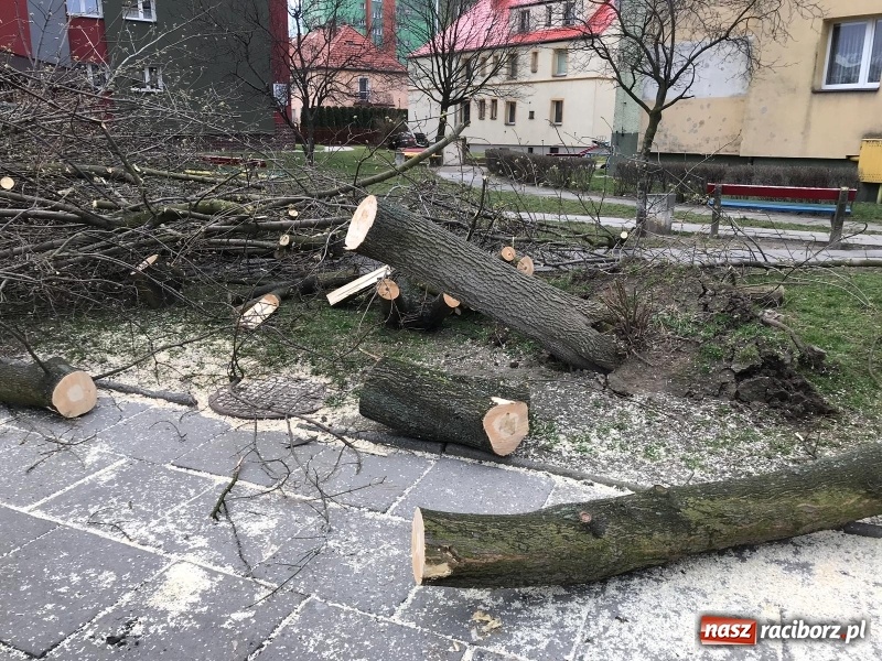Zdjęcie w galerii na portalu naszraciborz.pl: To był nocny Armagedon. Strażacy mieli pełne ręce roboty. Ponad 60 wezwań FOTO wiadomości z regionu