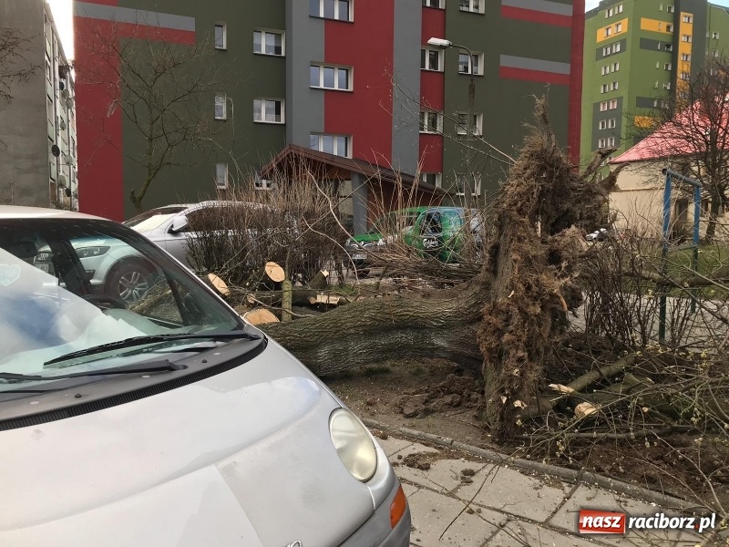 Zdjęcie w galerii na portalu naszraciborz.pl: To był nocny Armagedon. Strażacy mieli pełne ręce roboty. Ponad 60 wezwań FOTO wiadomości z regionu