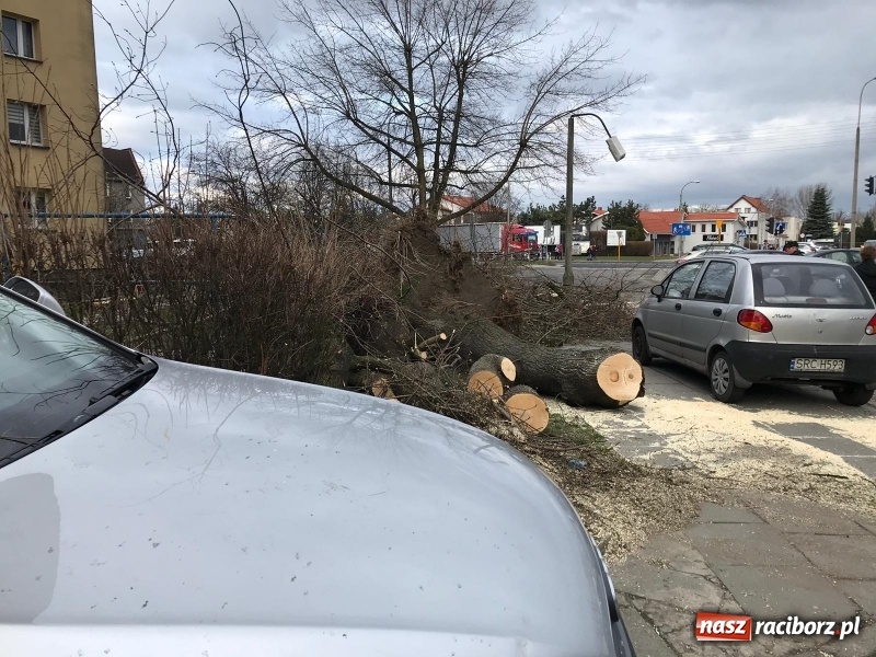 Zdjęcie w galerii na portalu naszraciborz.pl: To był nocny Armagedon. Strażacy mieli pełne ręce roboty. Ponad 60 wezwań FOTO wiadomości z regionu