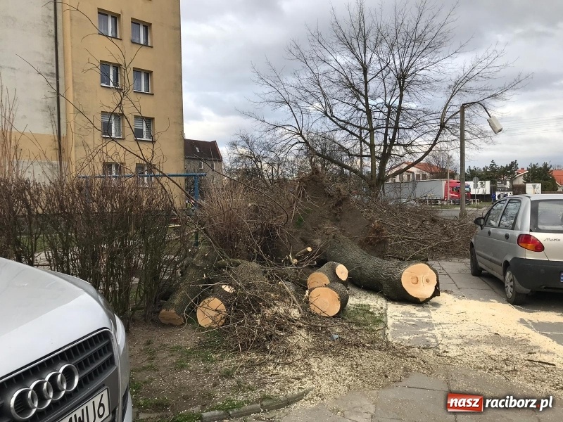 Zdjęcie w galerii na portalu naszraciborz.pl: To był nocny Armagedon. Strażacy mieli pełne ręce roboty. Ponad 60 wezwań FOTO wiadomości z regionu