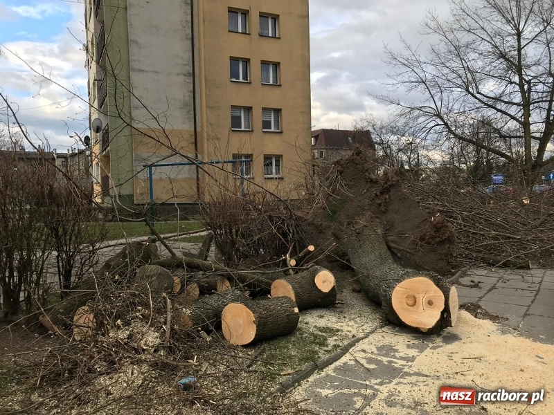 Zdjęcie w galerii na portalu naszraciborz.pl: To był nocny Armagedon. Strażacy mieli pełne ręce roboty. Ponad 60 wezwań FOTO wiadomości z regionu