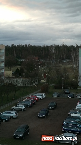 Zdjęcie w galerii na portalu naszraciborz.pl: To był nocny Armagedon. Strażacy mieli pełne ręce roboty. Ponad 60 wezwań FOTO wiadomości z regionu