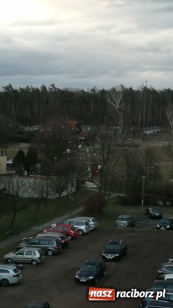 Zdjęcie w galerii na portalu naszraciborz.pl: To był nocny Armagedon. Strażacy mieli pełne ręce roboty. Ponad 60 wezwań FOTO wiadomości z regionu