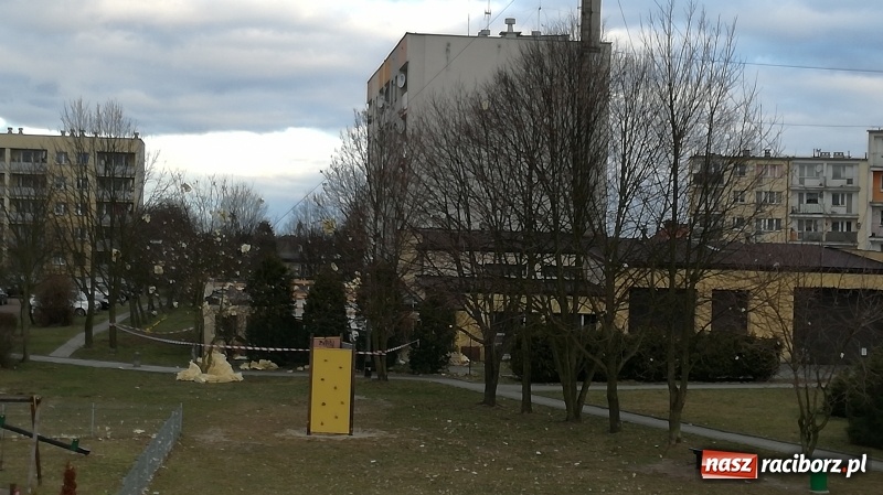Zdjęcie w galerii na portalu naszraciborz.pl: To był nocny Armagedon. Strażacy mieli pełne ręce roboty. Ponad 60 wezwań FOTO wiadomości z regionu