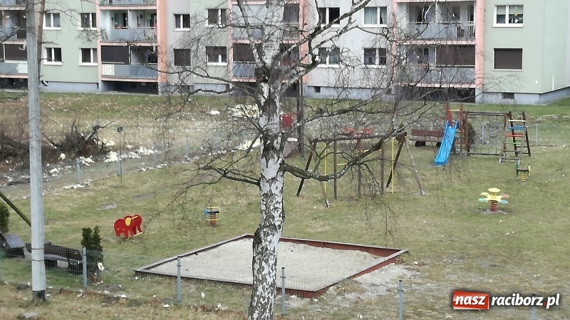 Zdjęcie w galerii na portalu naszraciborz.pl: To był nocny Armagedon. Strażacy mieli pełne ręce roboty. Ponad 60 wezwań FOTO wiadomości z regionu