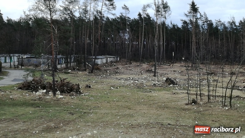 Zdjęcie w galerii na portalu naszraciborz.pl: To był nocny Armagedon. Strażacy mieli pełne ręce roboty. Ponad 60 wezwań FOTO wiadomości z regionu