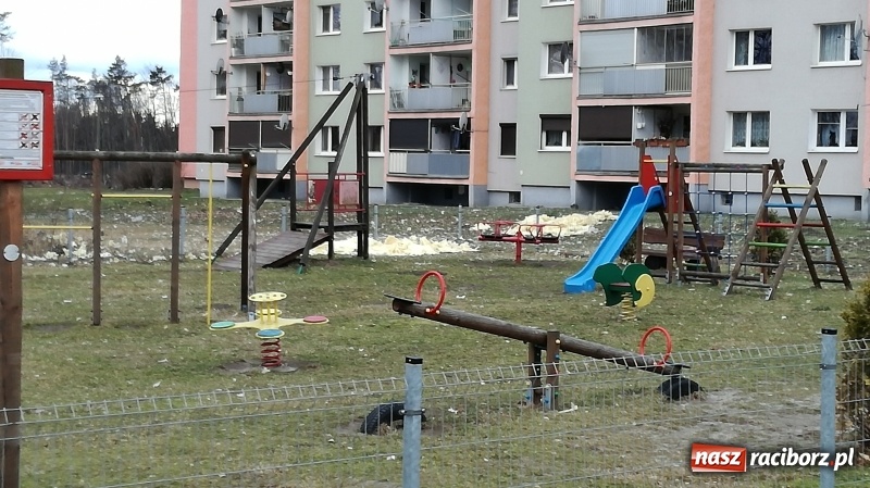 Zdjęcie w galerii na portalu naszraciborz.pl: To był nocny Armagedon. Strażacy mieli pełne ręce roboty. Ponad 60 wezwań FOTO wiadomości z regionu