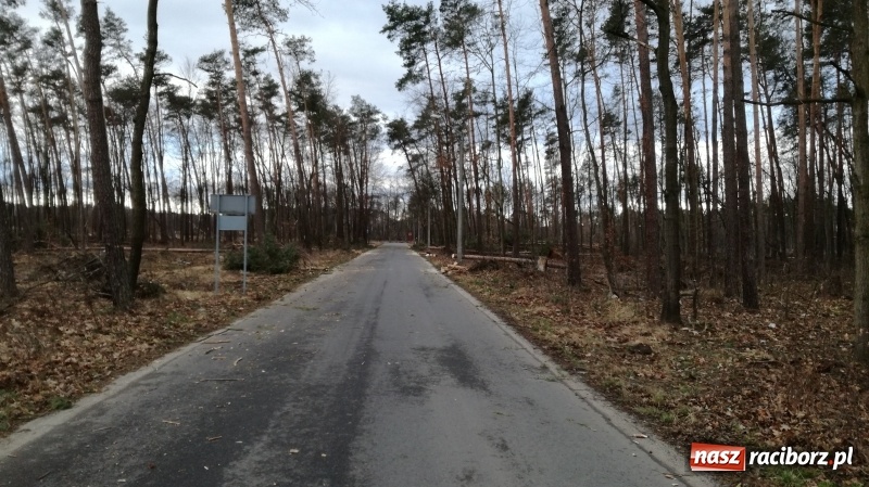 Zdjęcie w galerii na portalu naszraciborz.pl: To był nocny Armagedon. Strażacy mieli pełne ręce roboty. Ponad 60 wezwań FOTO wiadomości z regionu