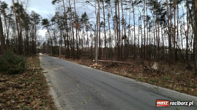 Zdjęcie w galerii na portalu naszraciborz.pl: To był nocny Armagedon. Strażacy mieli pełne ręce roboty. Ponad 60 wezwań FOTO wiadomości z regionu