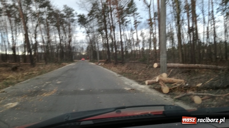 Zdjęcie w galerii na portalu naszraciborz.pl: To był nocny Armagedon. Strażacy mieli pełne ręce roboty. Ponad 60 wezwań FOTO wiadomości z regionu
