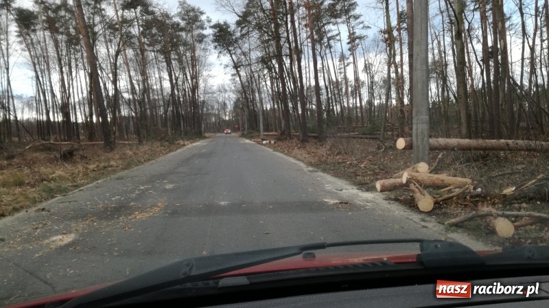 Zdjęcie w galerii na portalu naszraciborz.pl: To był nocny Armagedon. Strażacy mieli pełne ręce roboty. Ponad 60 wezwań FOTO wiadomości z regionu