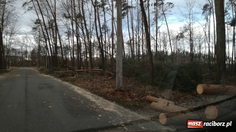 Zdjęcie w galerii na portalu naszraciborz.pl: To był nocny Armagedon. Strażacy mieli pełne ręce roboty. Ponad 60 wezwań FOTO wiadomości z regionu