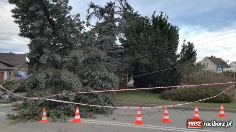 Zdjęcie w galerii na portalu naszraciborz.pl: To był nocny Armagedon. Strażacy mieli pełne ręce roboty. Ponad 60 wezwań FOTO wiadomości z regionu