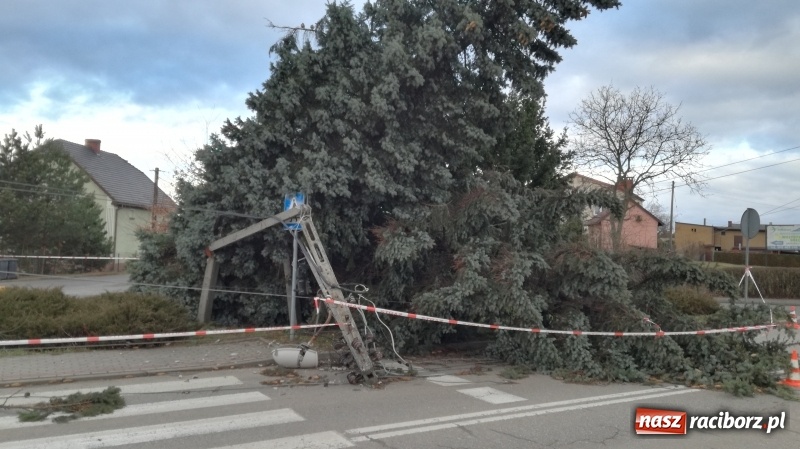 Zdjęcie w galerii na portalu naszraciborz.pl: To był nocny Armagedon. Strażacy mieli pełne ręce roboty. Ponad 60 wezwań FOTO wiadomości z regionu