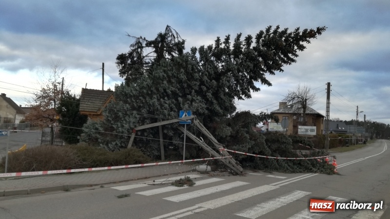 Zdjęcie w galerii na portalu naszraciborz.pl: To był nocny Armagedon. Strażacy mieli pełne ręce roboty. Ponad 60 wezwań FOTO wiadomości z regionu