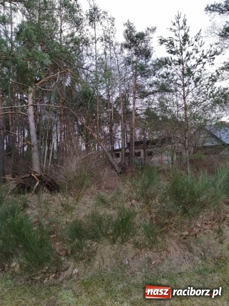 Zdjęcie w galerii na portalu naszraciborz.pl: To był nocny Armagedon. Strażacy mieli pełne ręce roboty. Ponad 60 wezwań FOTO wiadomości z regionu