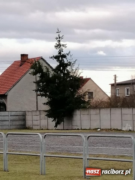 Zdjęcie w galerii na portalu naszraciborz.pl: To był nocny Armagedon. Strażacy mieli pełne ręce roboty. Ponad 60 wezwań FOTO wiadomości z regionu