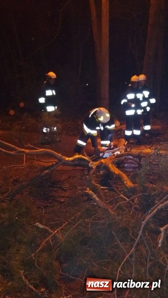 Zdjęcie w galerii na portalu naszraciborz.pl: To był nocny Armagedon. Strażacy mieli pełne ręce roboty. Ponad 60 wezwań FOTO wiadomości z regionu