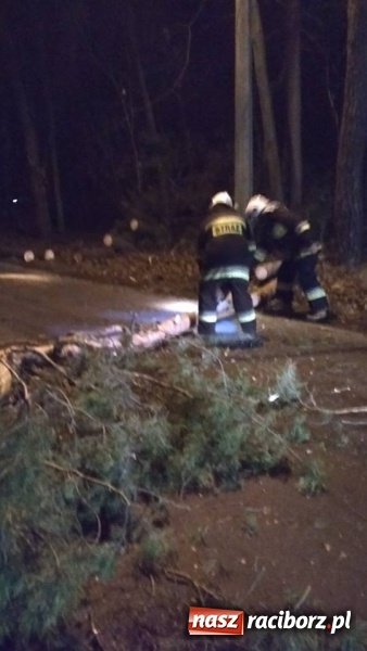 Zdjęcie w galerii na portalu naszraciborz.pl: To był nocny Armagedon. Strażacy mieli pełne ręce roboty. Ponad 60 wezwań FOTO wiadomości z regionu