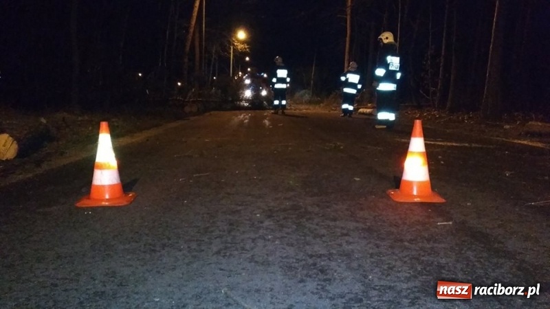 Zdjęcie w galerii na portalu naszraciborz.pl: To był nocny Armagedon. Strażacy mieli pełne ręce roboty. Ponad 60 wezwań FOTO wiadomości z regionu