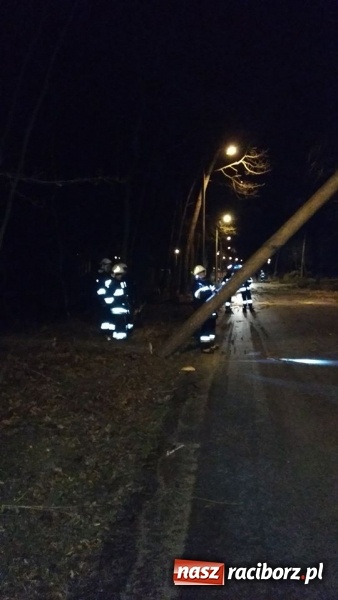 Zdjęcie w galerii na portalu naszraciborz.pl: To był nocny Armagedon. Strażacy mieli pełne ręce roboty. Ponad 60 wezwań FOTO wiadomości z regionu