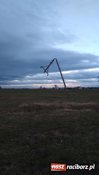 Zdjęcie w galerii na portalu naszraciborz.pl: To był nocny Armagedon. Strażacy mieli pełne ręce roboty. Ponad 60 wezwań FOTO wiadomości z regionu