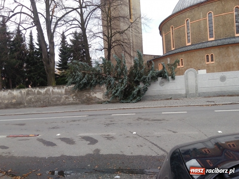 Zdjęcie w galerii na portalu naszraciborz.pl: To był nocny Armagedon. Strażacy mieli pełne ręce roboty. Ponad 60 wezwań FOTO wiadomości z regionu