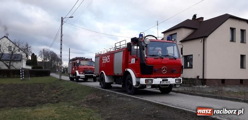 Zdjęcie w galerii na portalu naszraciborz.pl: To był nocny Armagedon. Strażacy mieli pełne ręce roboty. Ponad 60 wezwań FOTO wiadomości z regionu