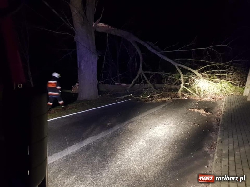Zdjęcie w galerii na portalu naszraciborz.pl: W porywach wiało 109 km na godzinę. Krajobraz po wichurze. Strażacy wciąż w akcji. W Pogrzebieniu ratowano życie [FOTO] wiadomości z regionu