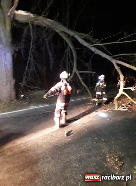 Zdjęcie w galerii na portalu naszraciborz.pl: W porywach wiało 109 km na godzinę. Krajobraz po wichurze. Strażacy wciąż w akcji. W Pogrzebieniu ratowano życie [FOTO] wiadomości z regionu