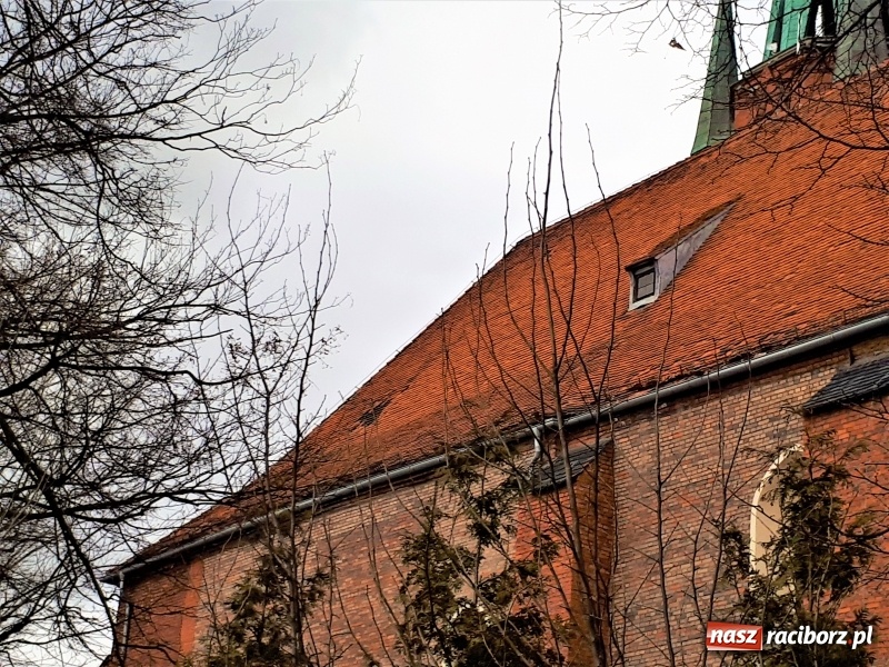 Zdjęcie w galerii na portalu naszraciborz.pl: W porywach wiało 109 km na godzinę. Krajobraz po wichurze. Strażacy wciąż w akcji. W Pogrzebieniu ratowano życie [FOTO] wiadomości z regionu