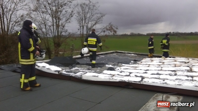 Zdjęcie w galerii na portalu naszraciborz.pl: Duże szkody po nawałnicy w gminie Rudnik wiadomości z regionu