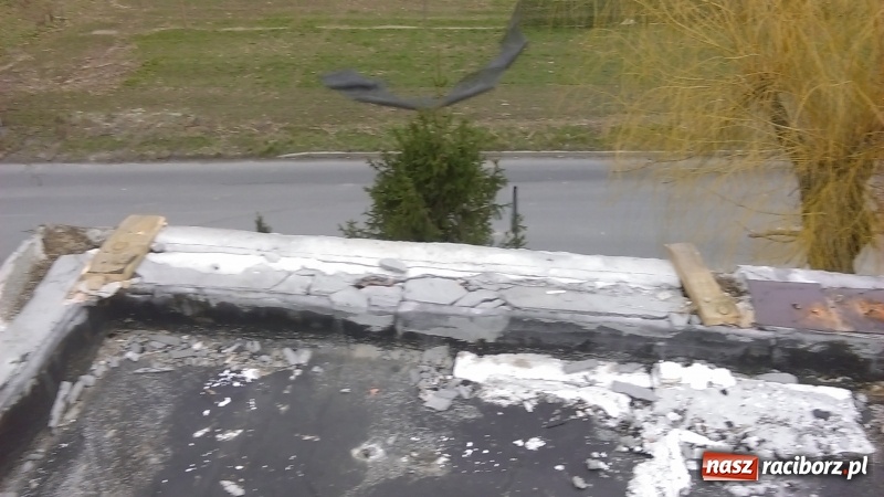 Zdjęcie w galerii na portalu naszraciborz.pl: Duże szkody po nawałnicy w gminie Rudnik wiadomości z regionu