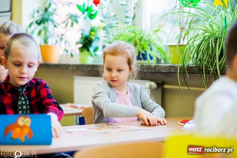Zdjęcie w galerii na portalu naszraciborz.pl: Matematyczne zmagania przedszkolaków, czyli Mały Pitagoras w SP 15 wiadomości z regionu