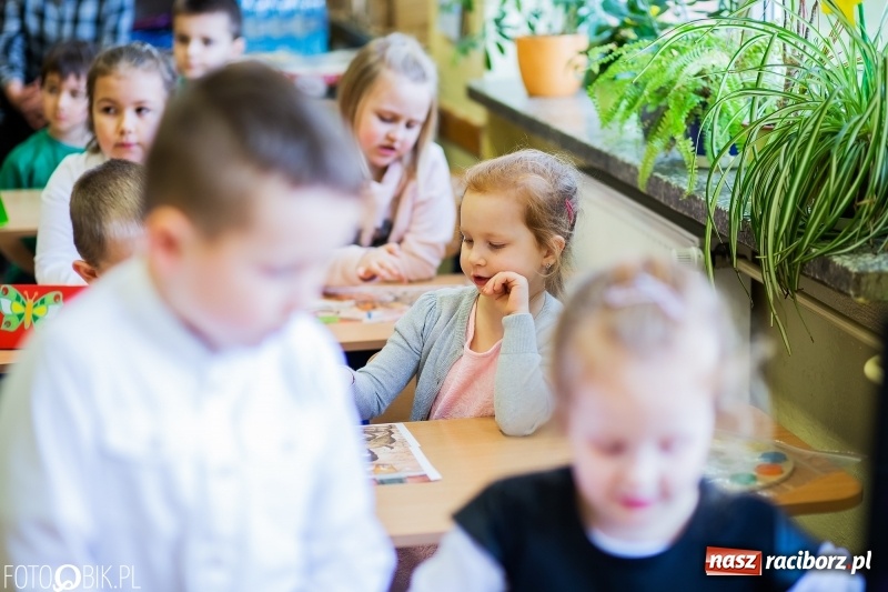 Zdjęcie w galerii na portalu naszraciborz.pl: Matematyczne zmagania przedszkolaków, czyli Mały Pitagoras w SP 15 wiadomości z regionu
