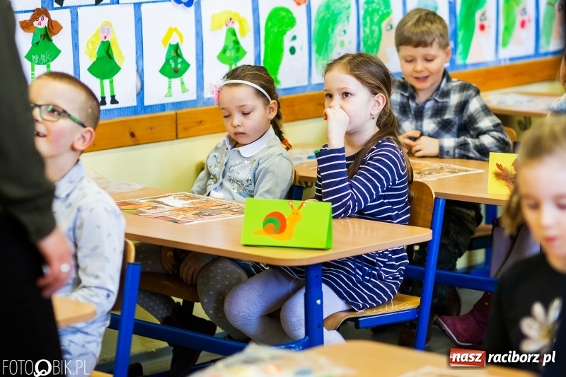 Zdjęcie w galerii na portalu naszraciborz.pl: Matematyczne zmagania przedszkolaków, czyli Mały Pitagoras w SP 15 wiadomości z regionu