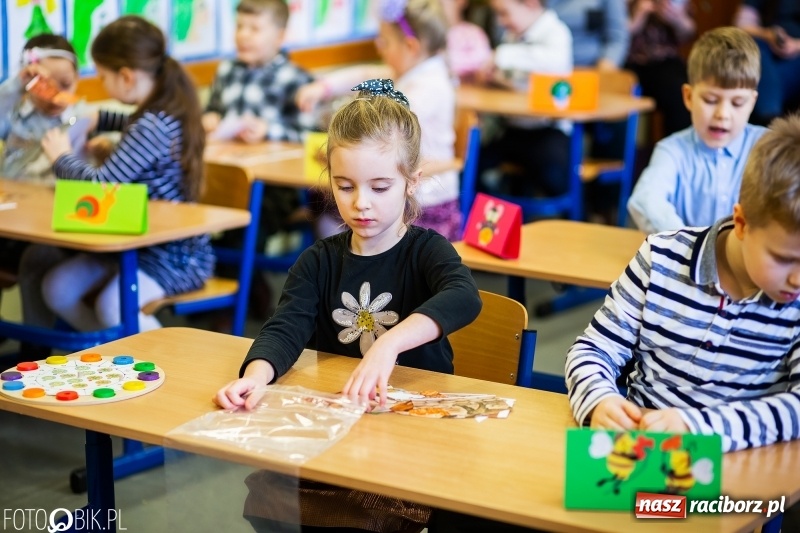 Zdjęcie w galerii na portalu naszraciborz.pl: Matematyczne zmagania przedszkolaków, czyli Mały Pitagoras w SP 15 wiadomości z regionu
