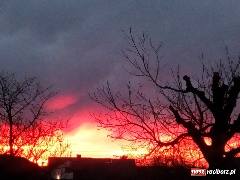 Zdjęcie w galerii na portalu naszraciborz.pl: Apokalipsa nad Raciborzem [FOTO]  wiadomości z regionu